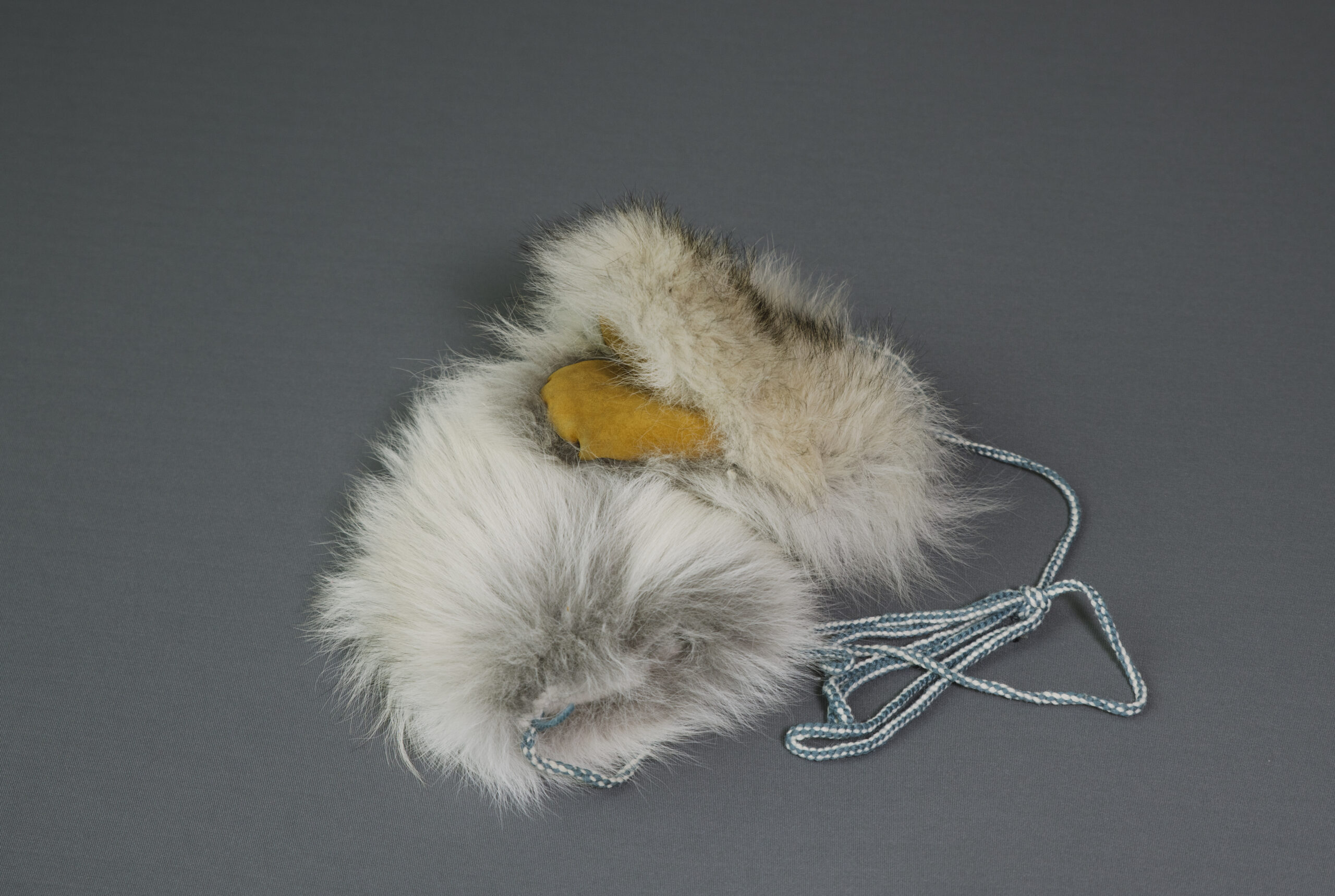 Walk-in-Beauty-Gallery-5